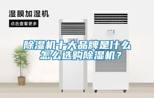 除濕機(jī)十大品牌是什么 怎么選購除濕機(jī)？