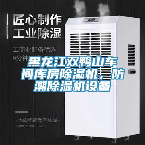 黑龍江雙鴨山車間庫(kù)房除濕機(jī)，防潮除濕機(jī)設(shè)備