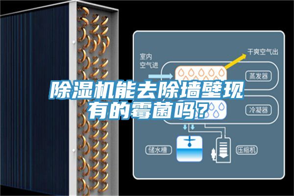 除濕機能去除墻壁現(xiàn)有的霉菌嗎？