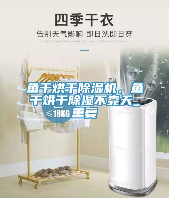 魚干烘干除濕機(jī)，魚干烘干除濕不靠天_重復(fù)