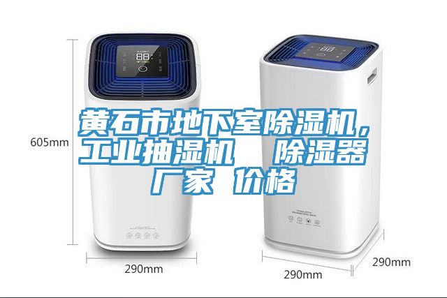 黃石市地下室除濕機(jī)，工業(yè)抽濕機(jī)  除濕器廠家 價(jià)格