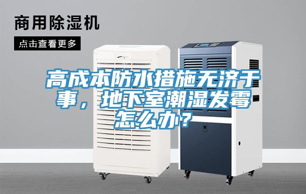 高成本防水措施無濟(jì)于事，地下室潮濕發(fā)霉怎么辦？
