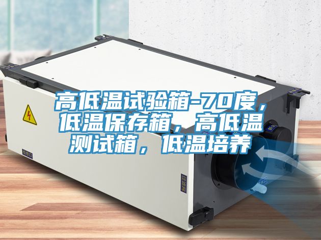 高低溫試驗箱-70度，低溫保存箱，高低溫測試箱，低溫培養(yǎng)