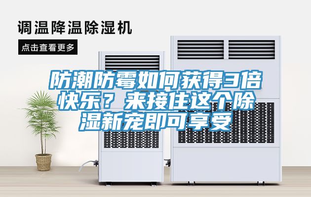 防潮防霉如何獲得3倍快樂(lè)？來(lái)接住這個(gè)除濕新寵即可享受