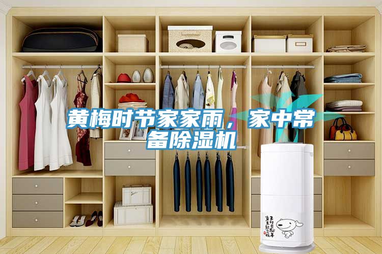 黃梅時節(jié)家家雨，家中常備除濕機