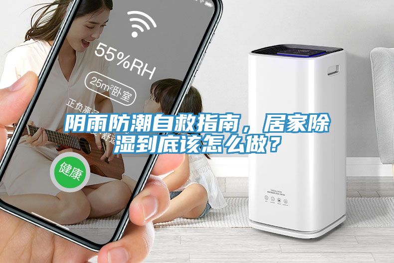 陰雨防潮自救指南，居家除濕到底該怎么做？