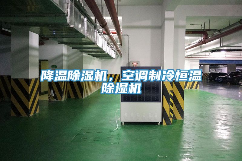 降溫除濕機(jī)，空調(diào)制冷恒溫除濕機(jī)