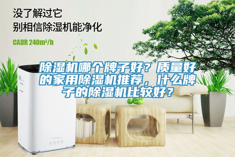 除濕機(jī)哪個牌子好？質(zhì)量好的家用除濕機(jī)推薦，什么牌子的除濕機(jī)比較好？