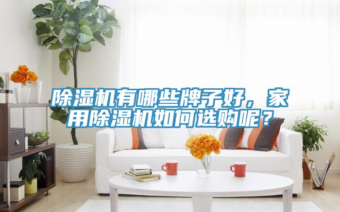 除濕機(jī)有哪些牌子好，家用除濕機(jī)如何選購(gòu)呢？