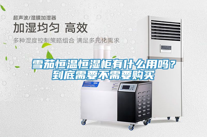雪茄恒溫恒濕柜有什么用嗎？到底需要不需要購買