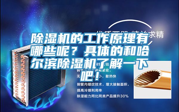 除濕機(jī)的工作原理有哪些呢？具體的和哈爾濱除濕機(jī)了解一下吧！