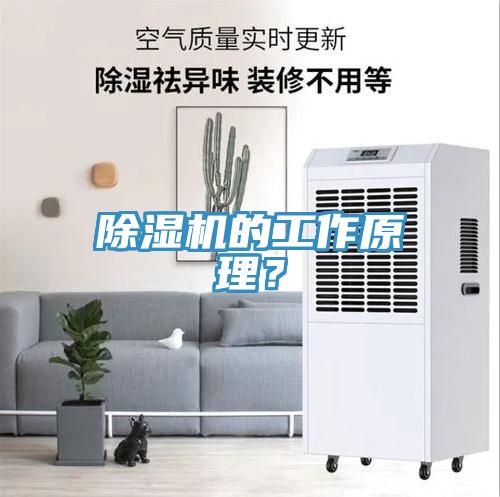 除濕機(jī)的工作原理？