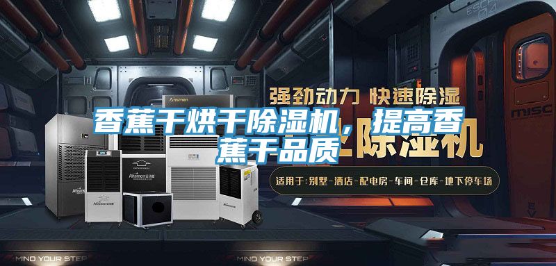 香蕉干烘干除濕機(jī)，提高香蕉干品質(zhì)