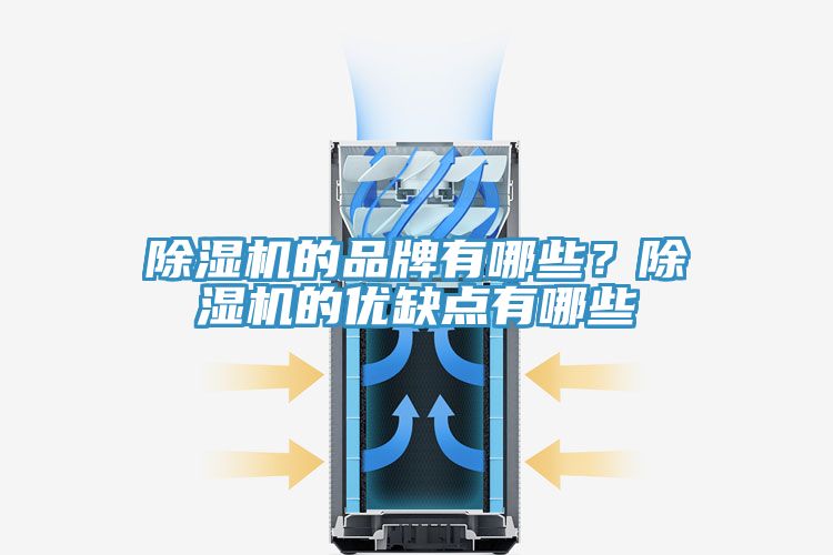 除濕機(jī)的品牌有哪些？除濕機(jī)的優(yōu)缺點(diǎn)有哪些