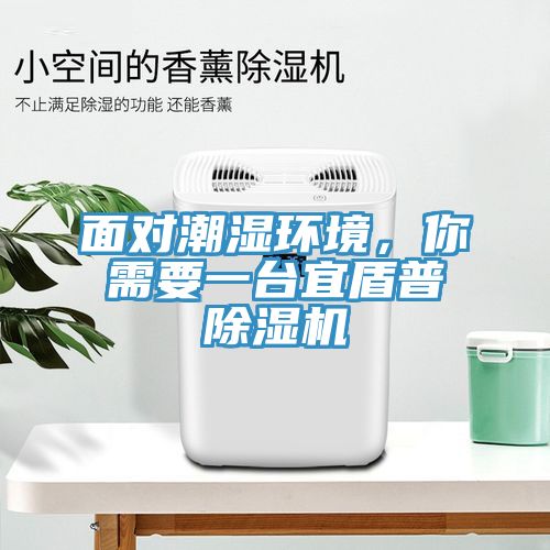 面對(duì)潮濕環(huán)境，你需要一臺(tái)宜盾普除濕機(jī)