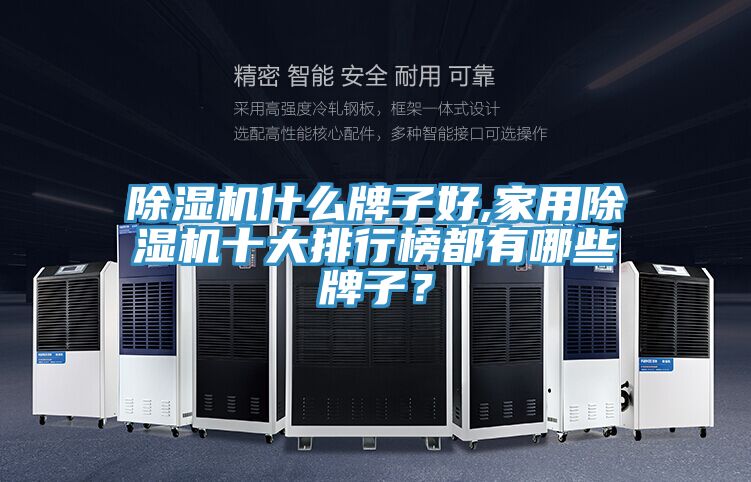 除濕機(jī)什么牌子好,家用除濕機(jī)十大排行榜都有哪些牌子？