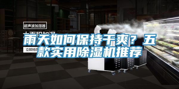 雨天如何保持干爽？五款實(shí)用除濕機(jī)推薦