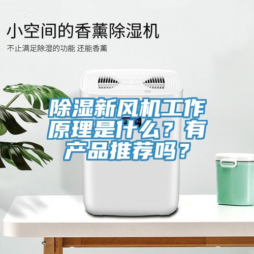 除濕新風(fēng)機(jī)工作原理是什么？有產(chǎn)品推薦嗎？