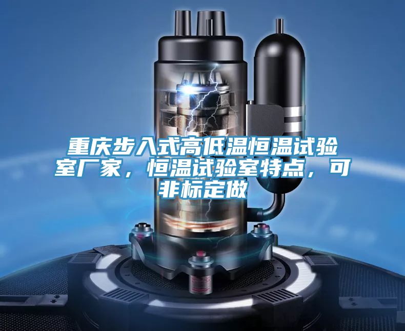 重慶步入式高低溫恒溫試驗(yàn)室廠家，恒溫試驗(yàn)室特點(diǎn)，可非標(biāo)定做