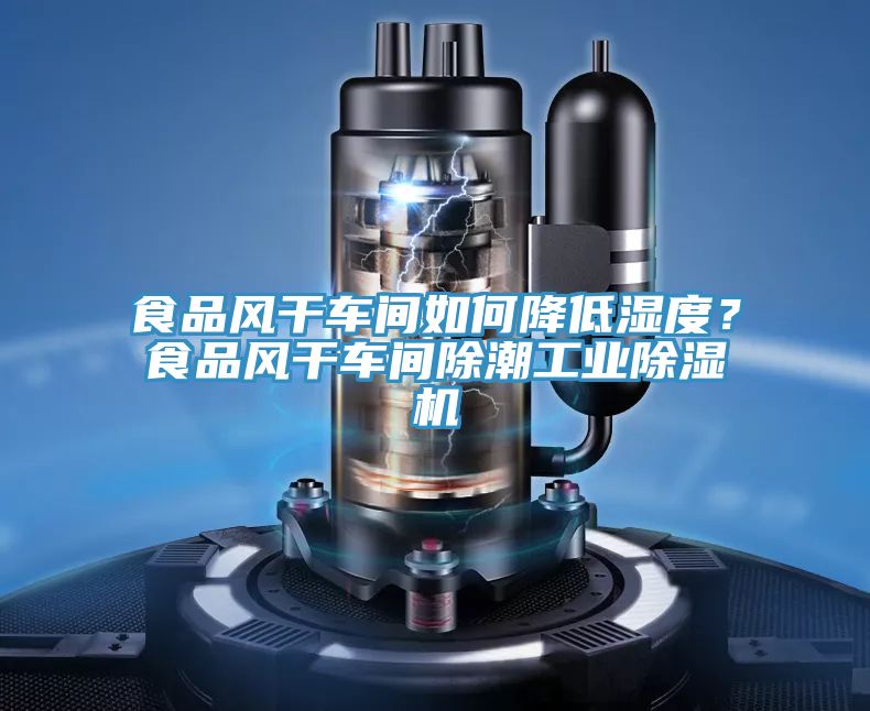 食品風(fēng)干車間如何降低濕度？食品風(fēng)干車間除潮工業(yè)除濕機(jī)
