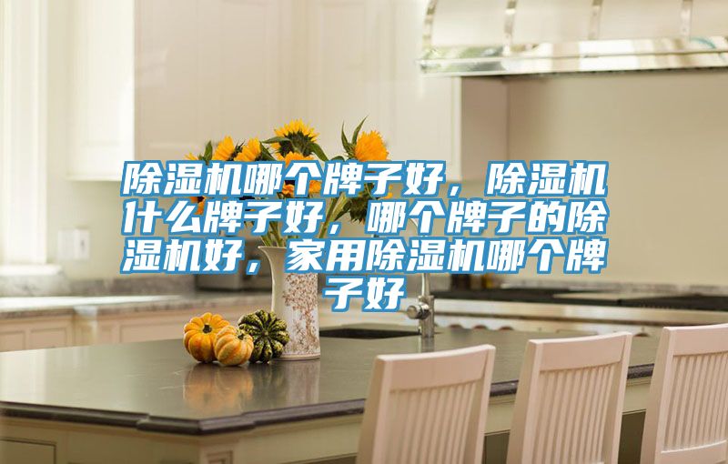 除濕機(jī)哪個(gè)牌子好，除濕機(jī)什么牌子好，哪個(gè)牌子的除濕機(jī)好，家用除濕機(jī)哪個(gè)牌子好