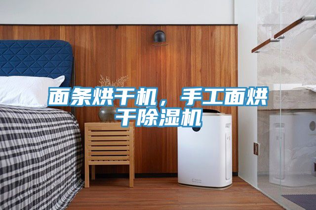 面條烘干機(jī)，手工面烘干除濕機(jī)