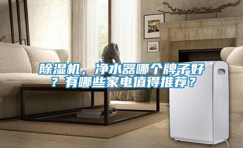 除濕機(jī)，凈水器哪個(gè)牌子好？有哪些家電值得推薦？