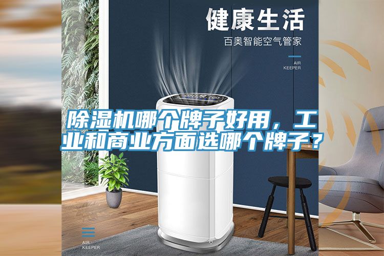 除濕機(jī)哪個(gè)牌子好用，工業(yè)和商業(yè)方面選哪個(gè)牌子？
