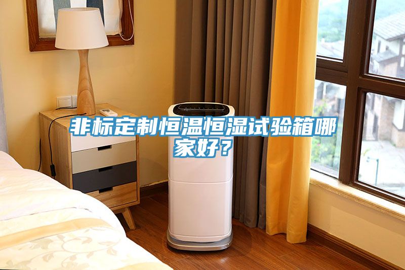 非標定制恒溫恒濕試驗箱哪家好？