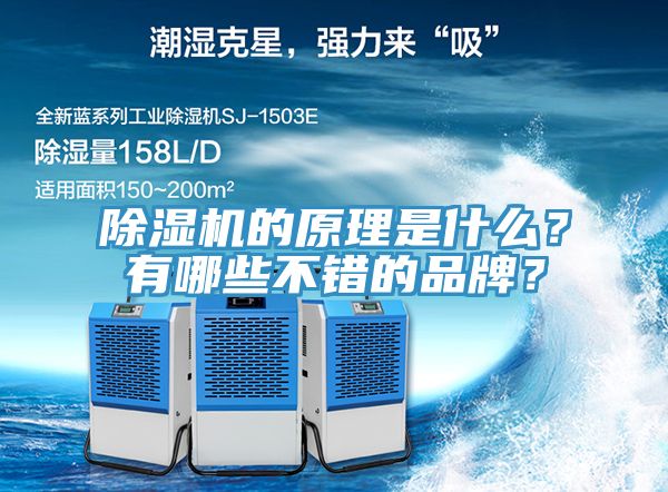 除濕機(jī)的原理是什么？有哪些不錯(cuò)的品牌？