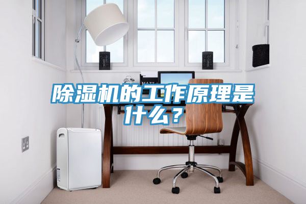 除濕機(jī)的工作原理是什么？