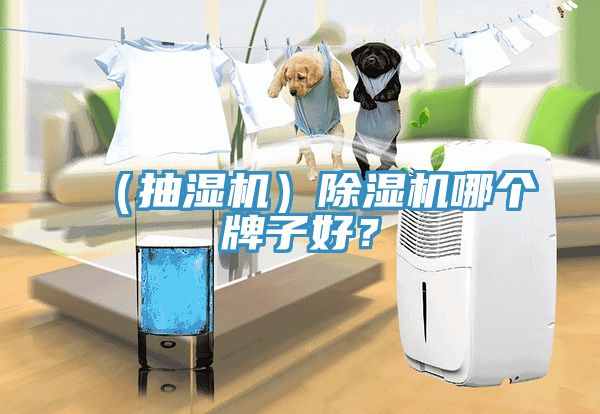 （抽濕機(jī)）除濕機(jī)哪個(gè)牌子好？