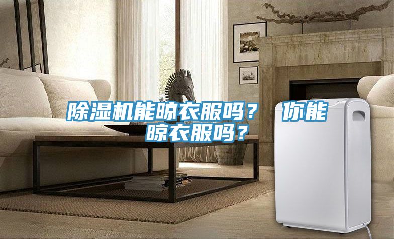 除濕機(jī)能晾衣服嗎？ 你能晾衣服嗎？