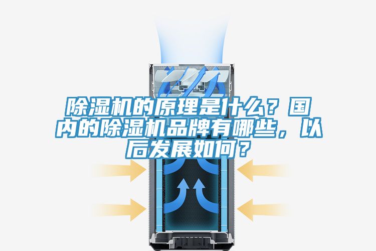 除濕機(jī)的原理是什么？國內(nèi)的除濕機(jī)品牌有哪些，以后發(fā)展如何？