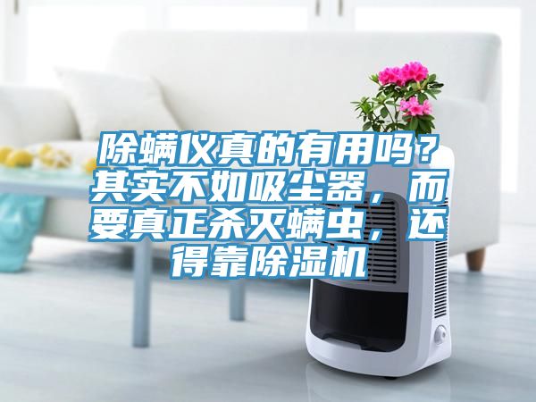 除螨儀真的有用嗎？其實不如吸塵器，而要真正殺滅螨蟲，還得靠除濕機