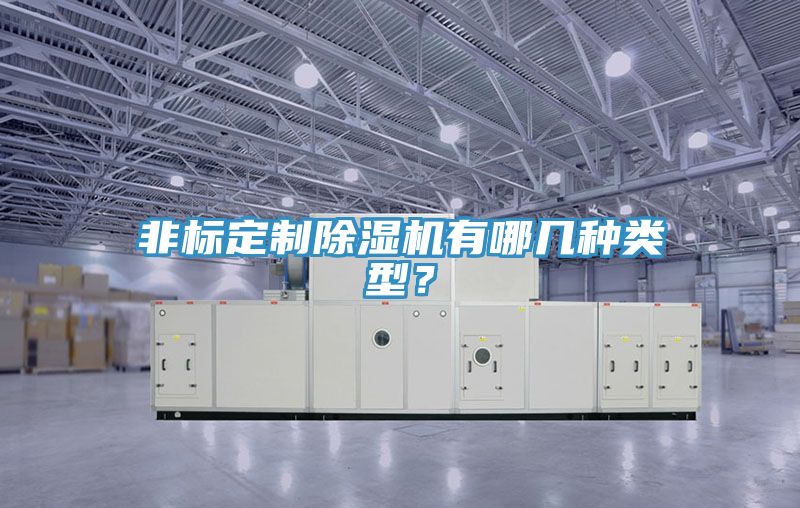 非標(biāo)定制除濕機(jī)有哪幾種類型？