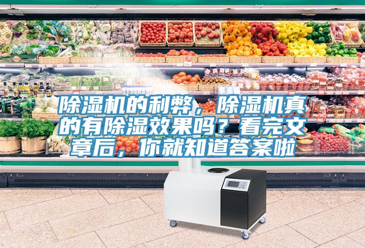 除濕機(jī)的利弊，除濕機(jī)真的有除濕效果嗎？看完文章后，你就知道答案啦