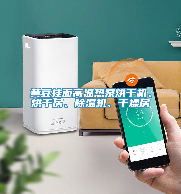 黃豆掛面高溫熱泵烘干機、烘干房、除濕機、干燥房