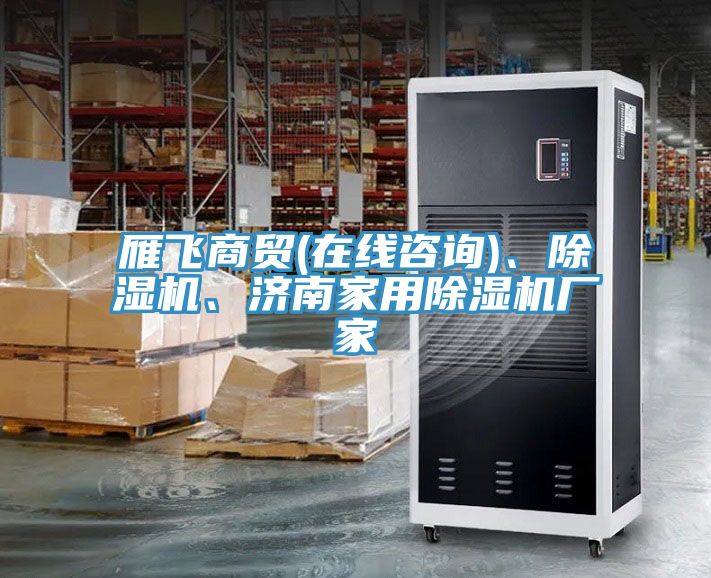 雁飛商貿(mào)(在線咨詢)、除濕機、濟南家用除濕機廠家