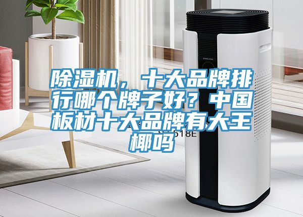 除濕機(jī)，十大品牌排行哪個(gè)牌子好？中國(guó)板材十大品牌有大王椰嗎