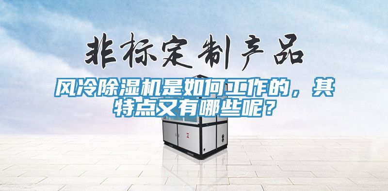 風冷除濕機是如何工作的，其特點又有哪些呢？
