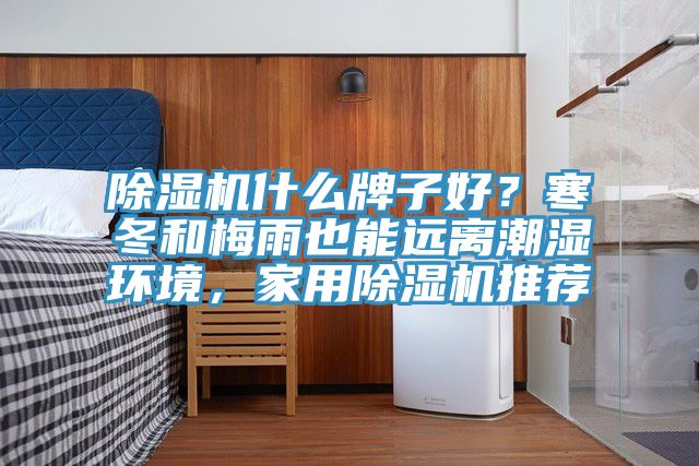 除濕機(jī)什么牌子好？寒冬和梅雨也能遠(yuǎn)離潮濕環(huán)境，家用除濕機(jī)推薦