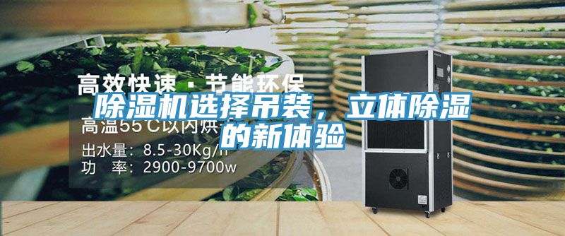 除濕機(jī)選擇吊裝，立體除濕的新體驗