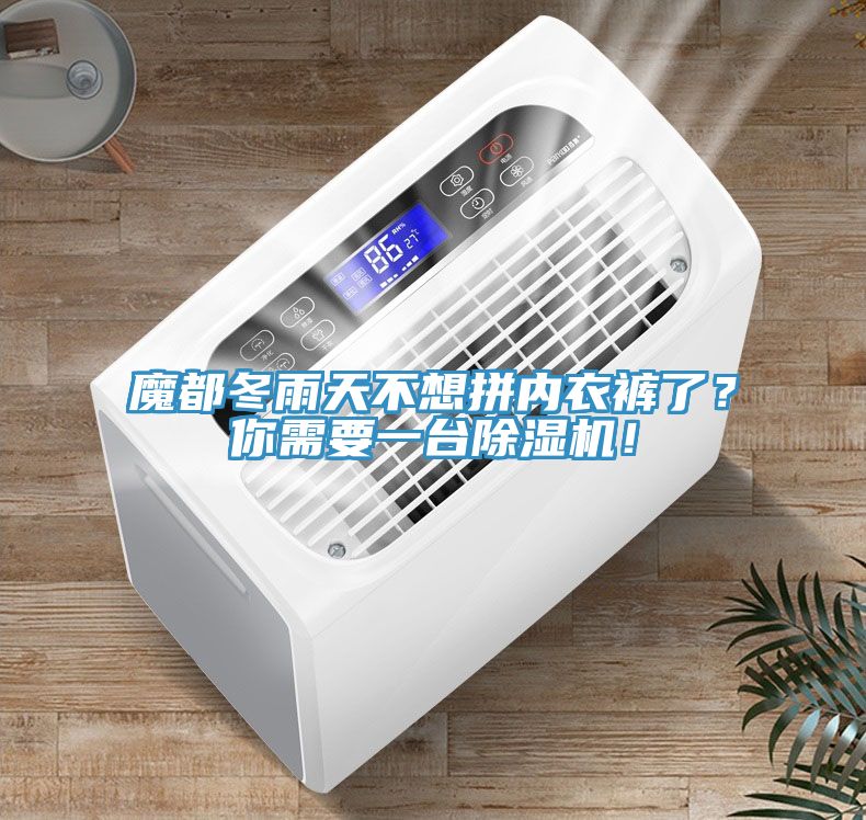 魔都冬雨天不想拼內(nèi)衣褲了？你需要一臺除濕機(jī)！