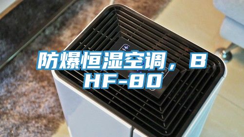 防爆恒濕空調(diào)，BHF-80
