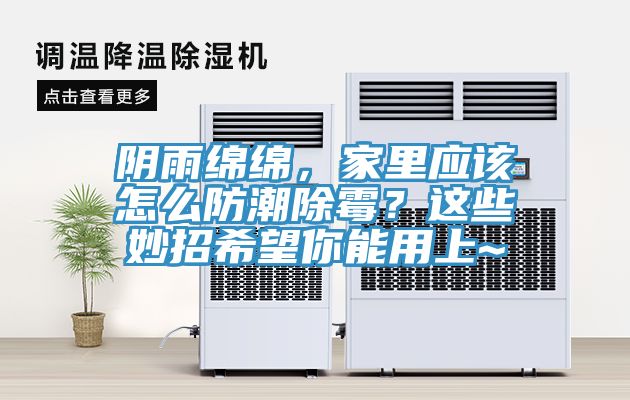 陰雨綿綿，家里應(yīng)該怎么防潮除霉？這些妙招希望你能用上~