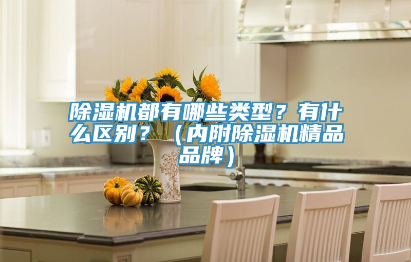 除濕機(jī)都有哪些類型？有什么區(qū)別？（內(nèi)附除濕機(jī)精品品牌）