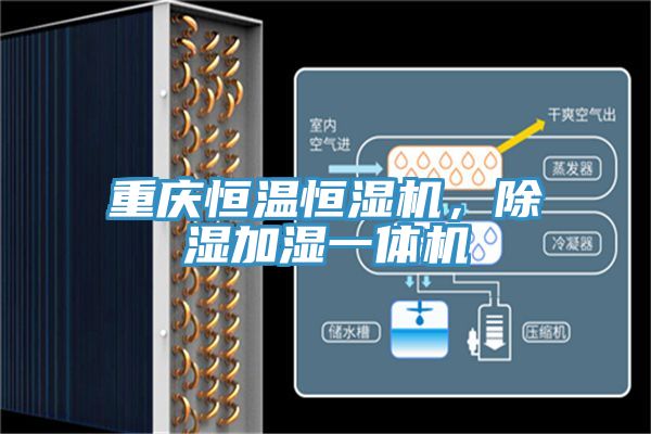 重慶恒溫恒濕機，除濕加濕一體機