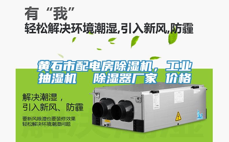 黃石市配電房除濕機(jī)，工業(yè)抽濕機(jī)  除濕器廠家 價(jià)格