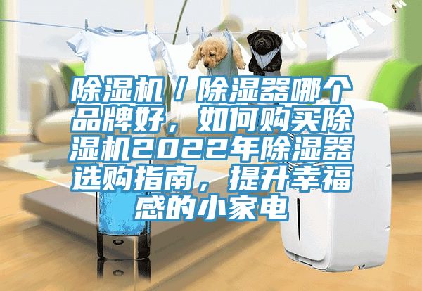 除濕機(jī)／除濕器哪個(gè)品牌好，如何購(gòu)買除濕機(jī)2022年除濕器選購(gòu)指南，提升幸福感的小家電